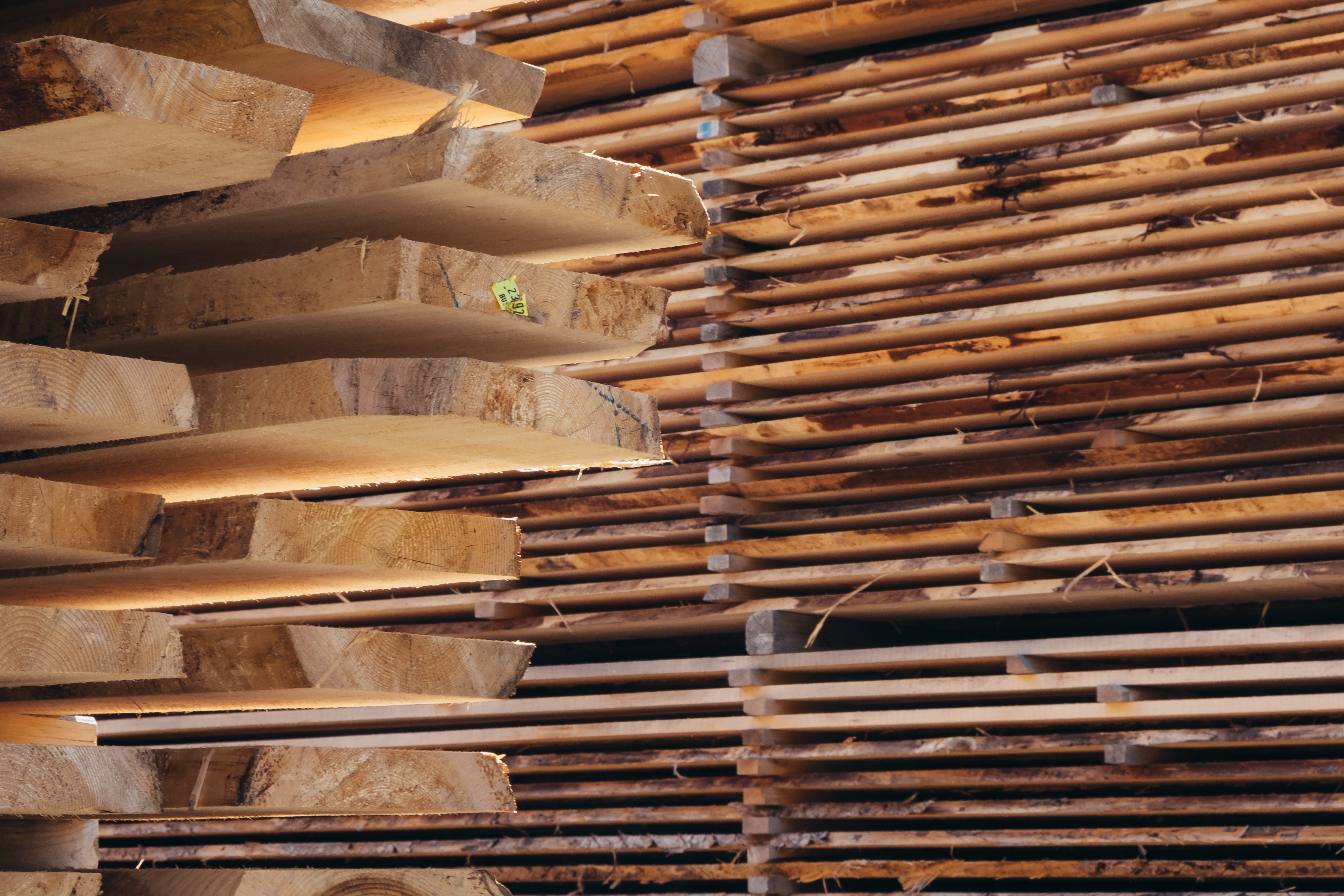 Sheesham Wood vs. Teak Wood: A Comprehensive Comparison 2023