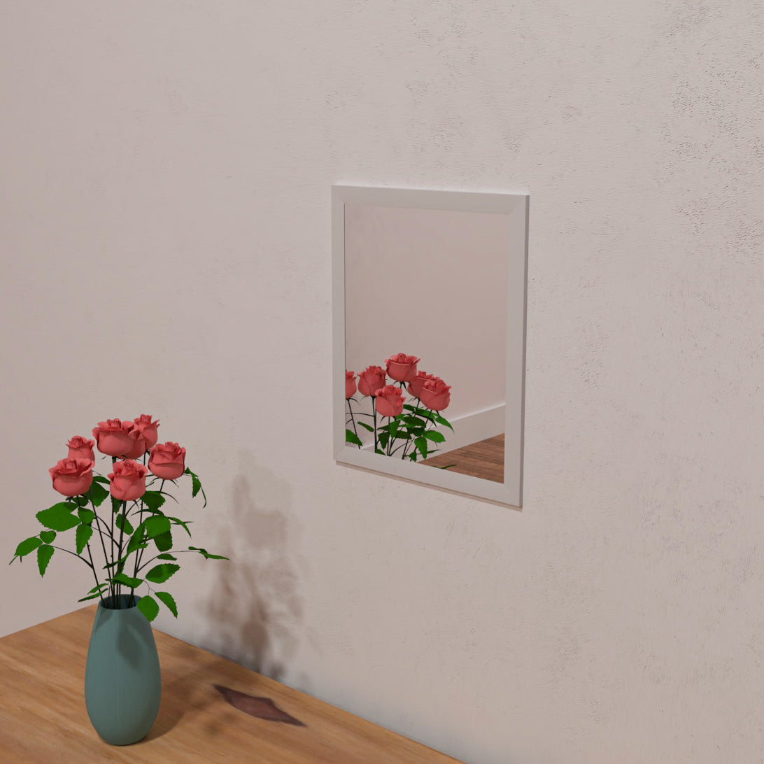 10x12 Classic Mirror Mirror