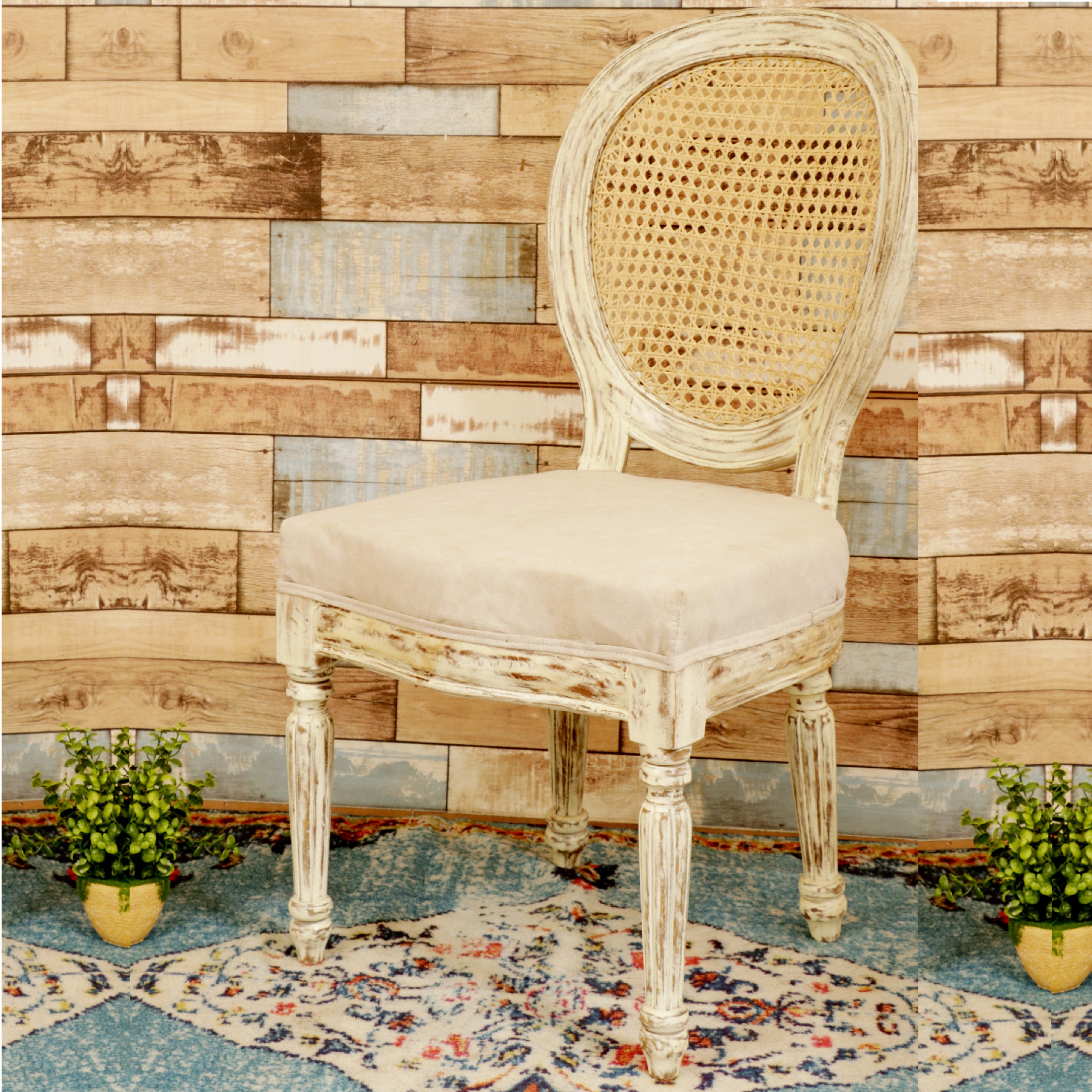 Distressed White Comfort Chair Dining Chair