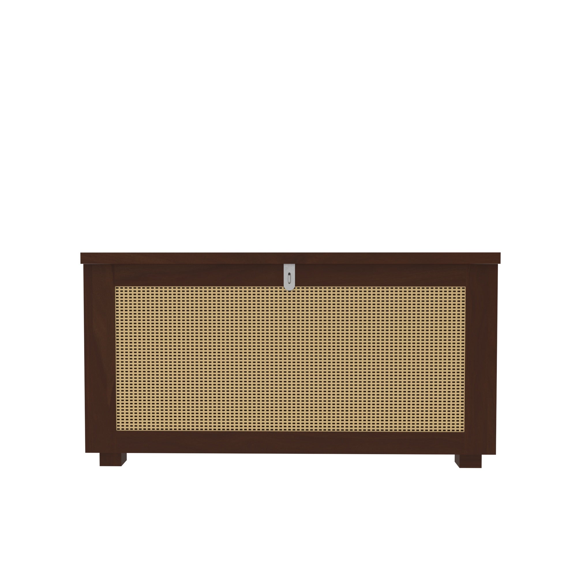 Handcrafted Wooden Storage Cabinet with Cane Webbing Front Panel Bench