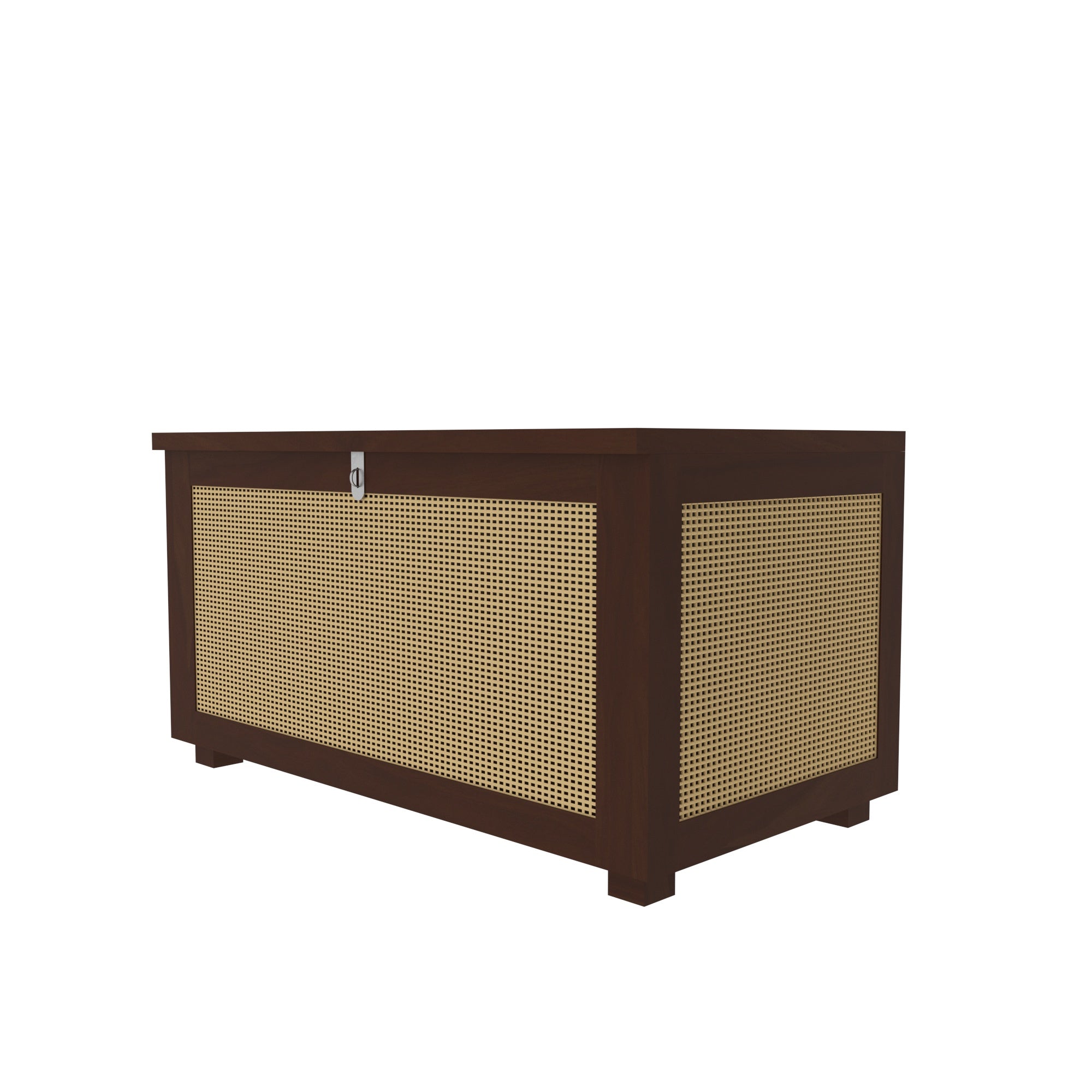 Handcrafted Wooden Storage Cabinet with Cane Webbing Front Panel Bench