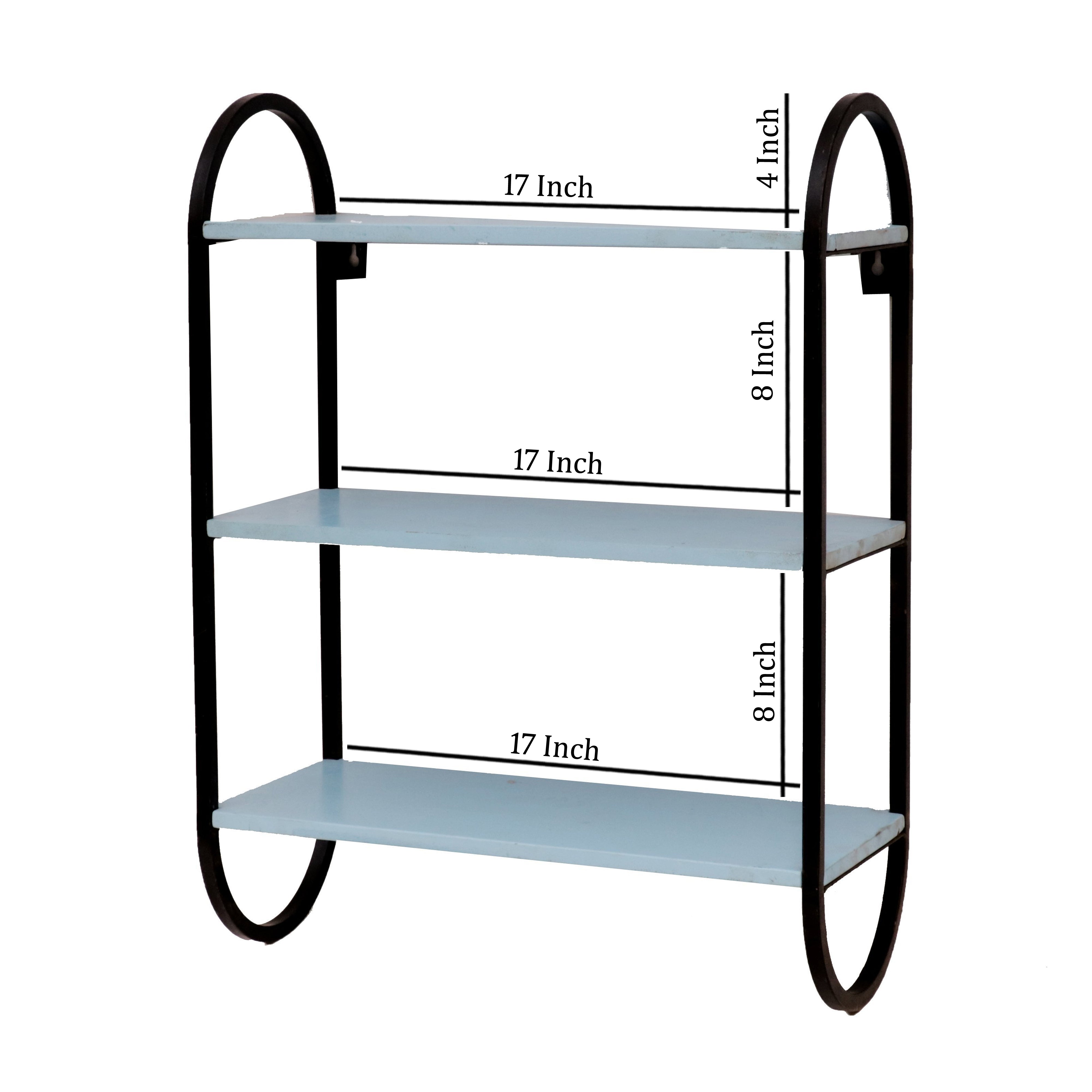 Oval Facing Frame Shelf Wall Rack