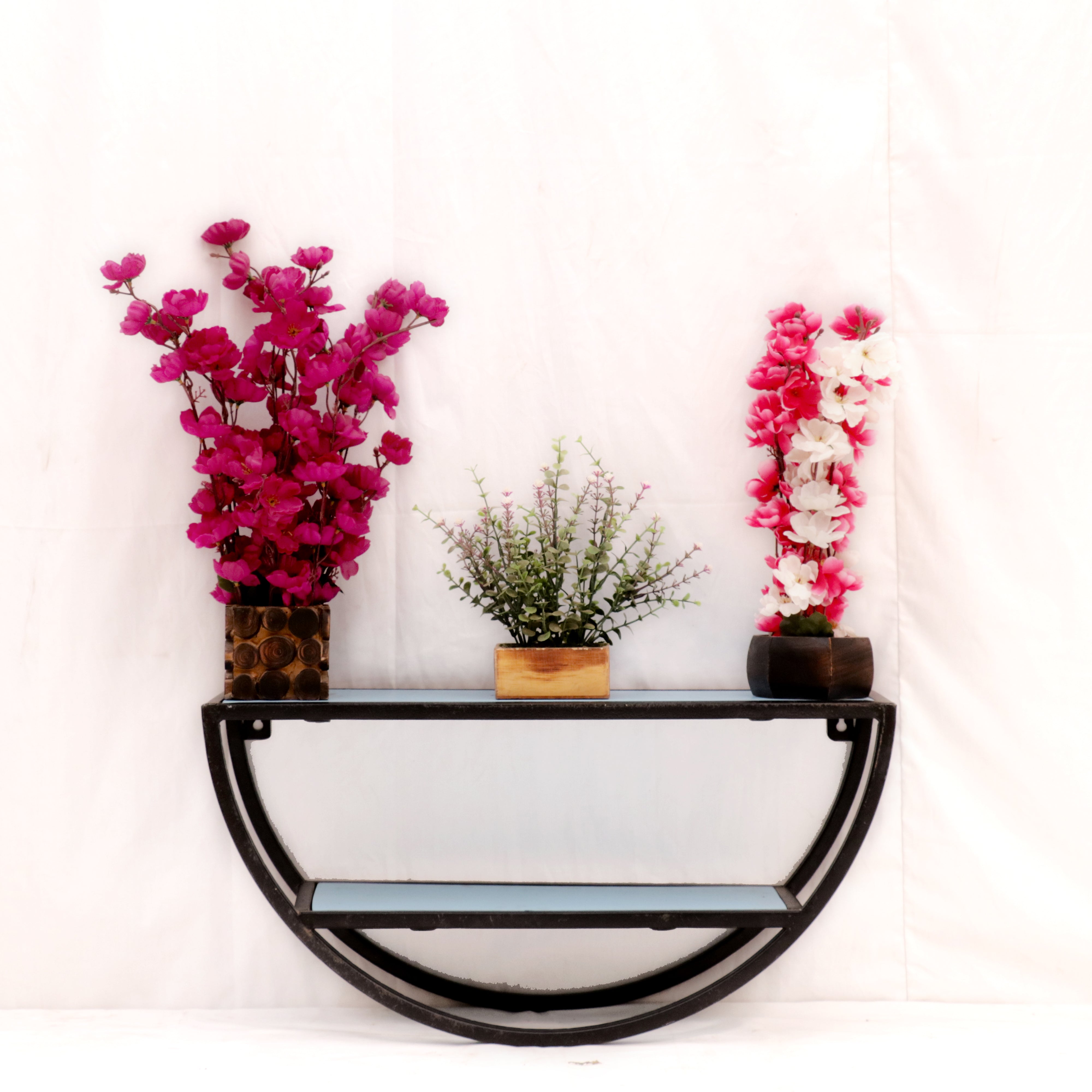 Semi Circle Delightful Shelf Wall Rack