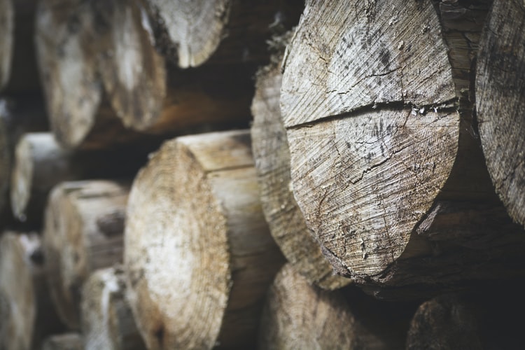 All You Need to Know About Teak Wood Furniture