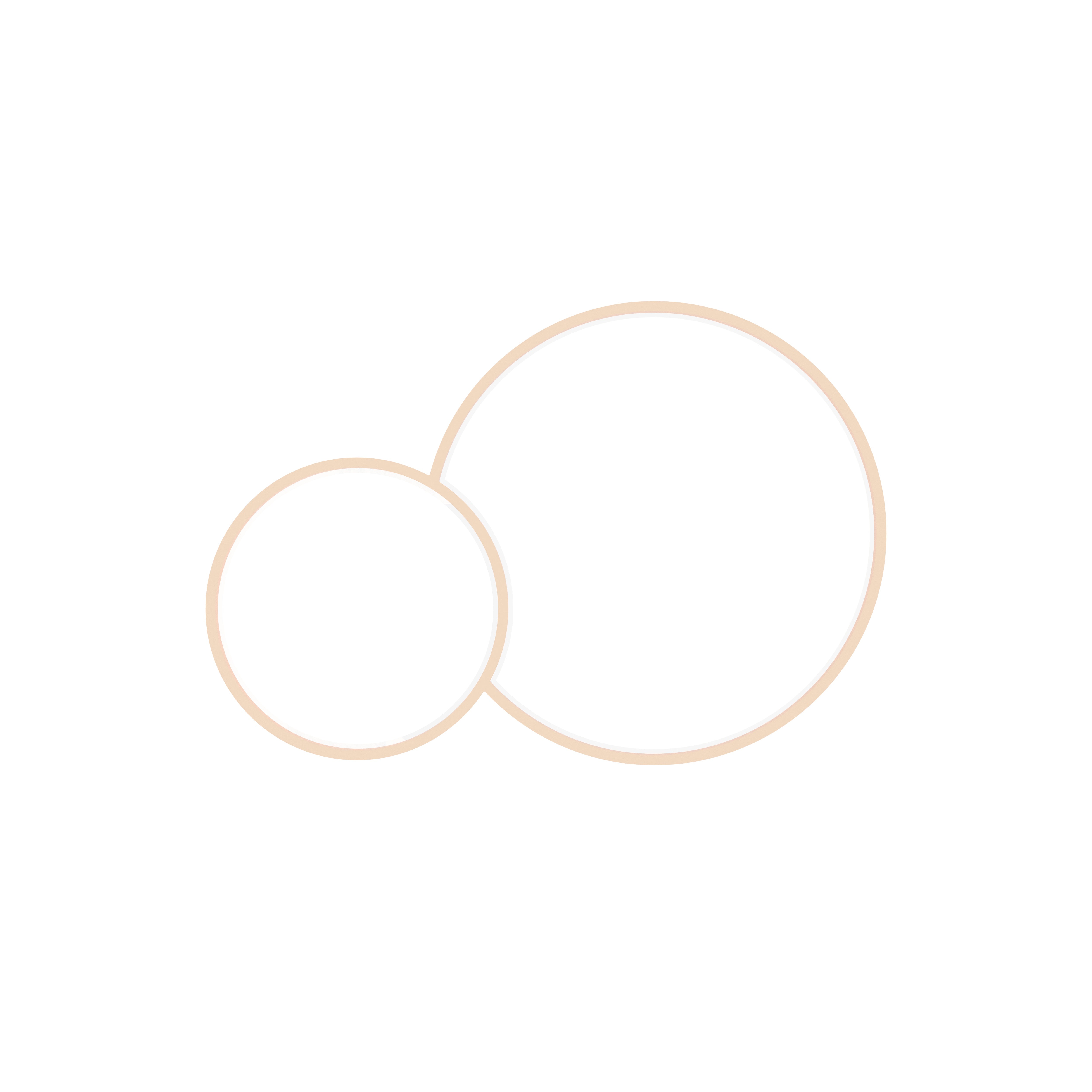 Overlapping Double Circle Wall Mirror Set Mirror