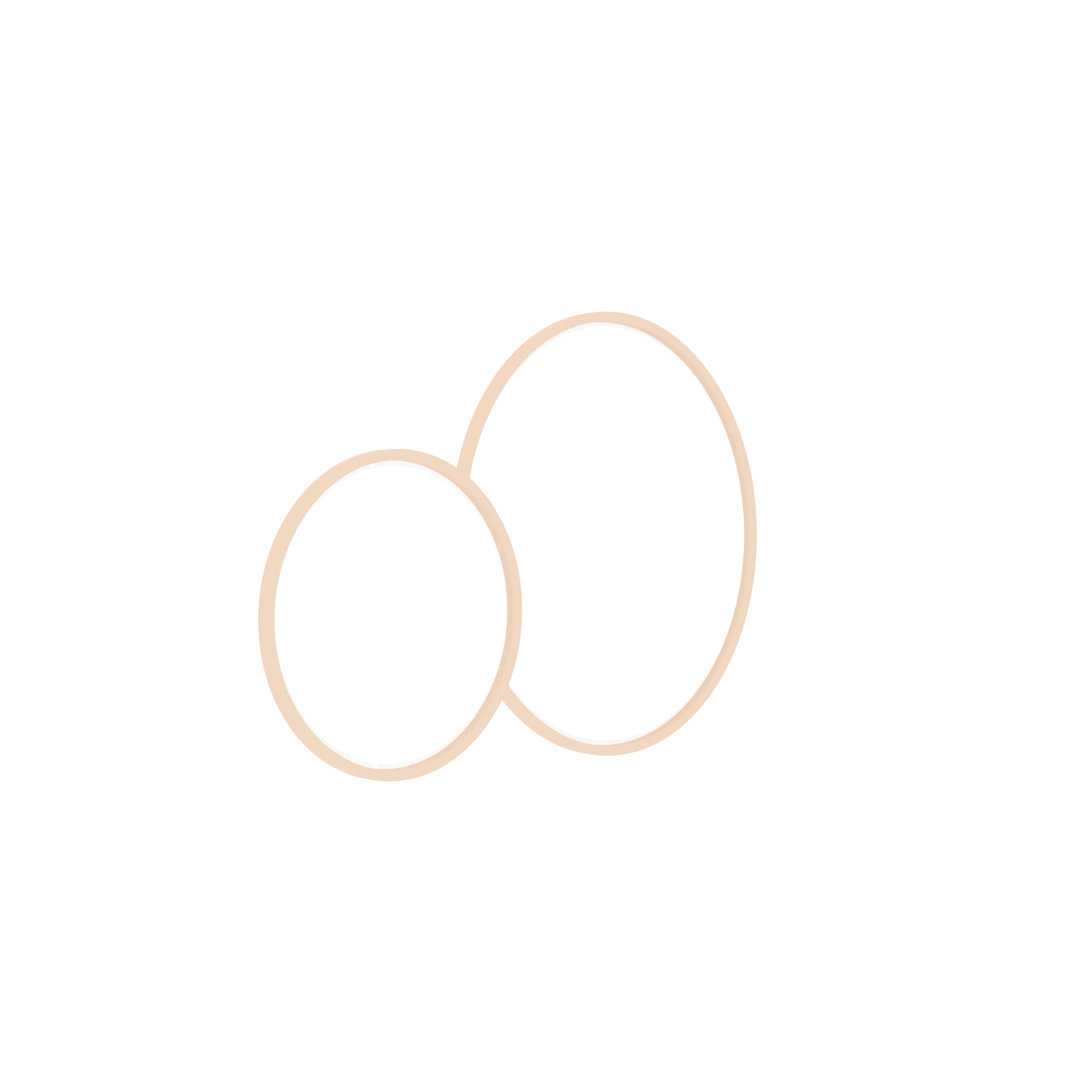 Overlapping Double Circle Wall Mirror Set Mirror