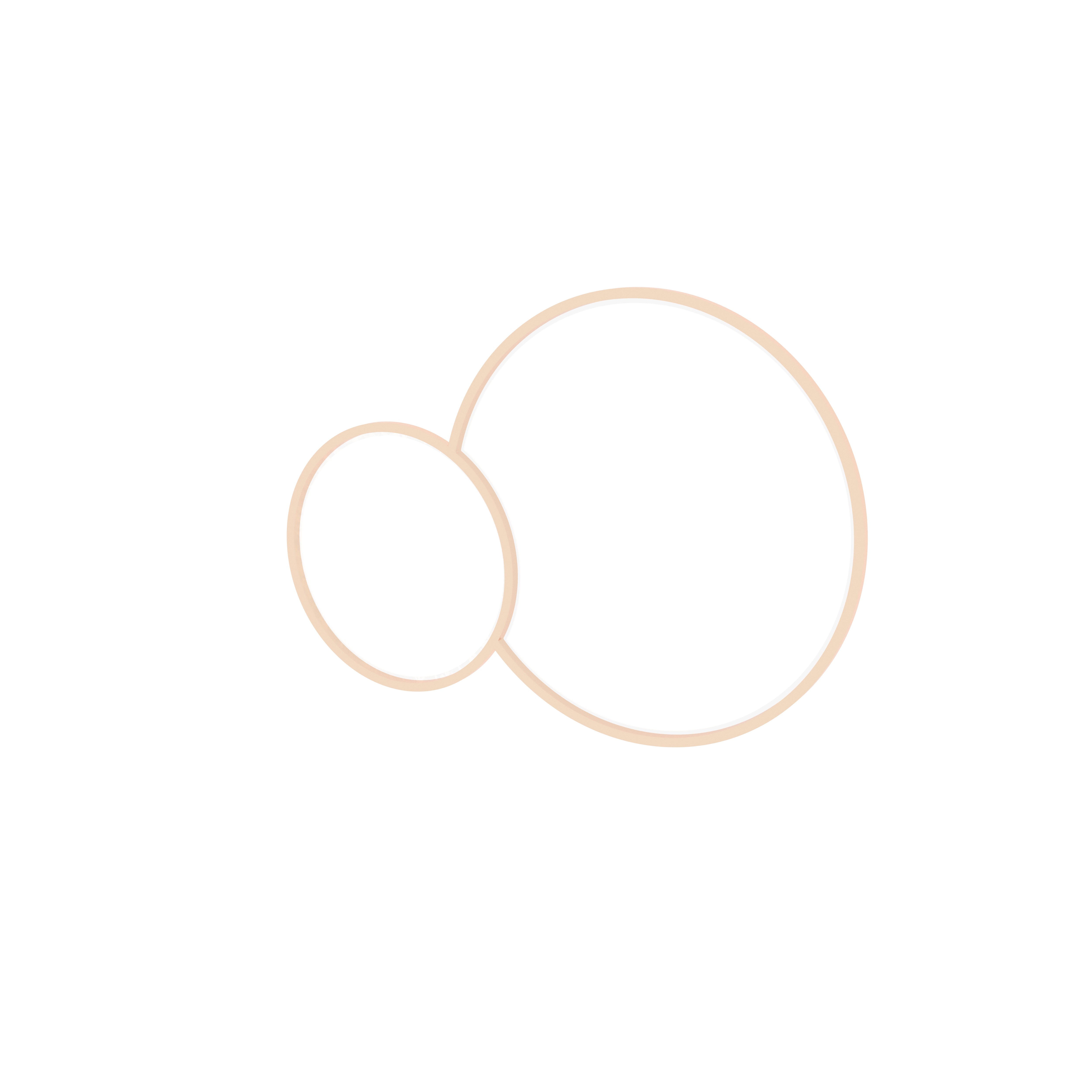 Overlapping Double Circle Wall Mirror Set Mirror