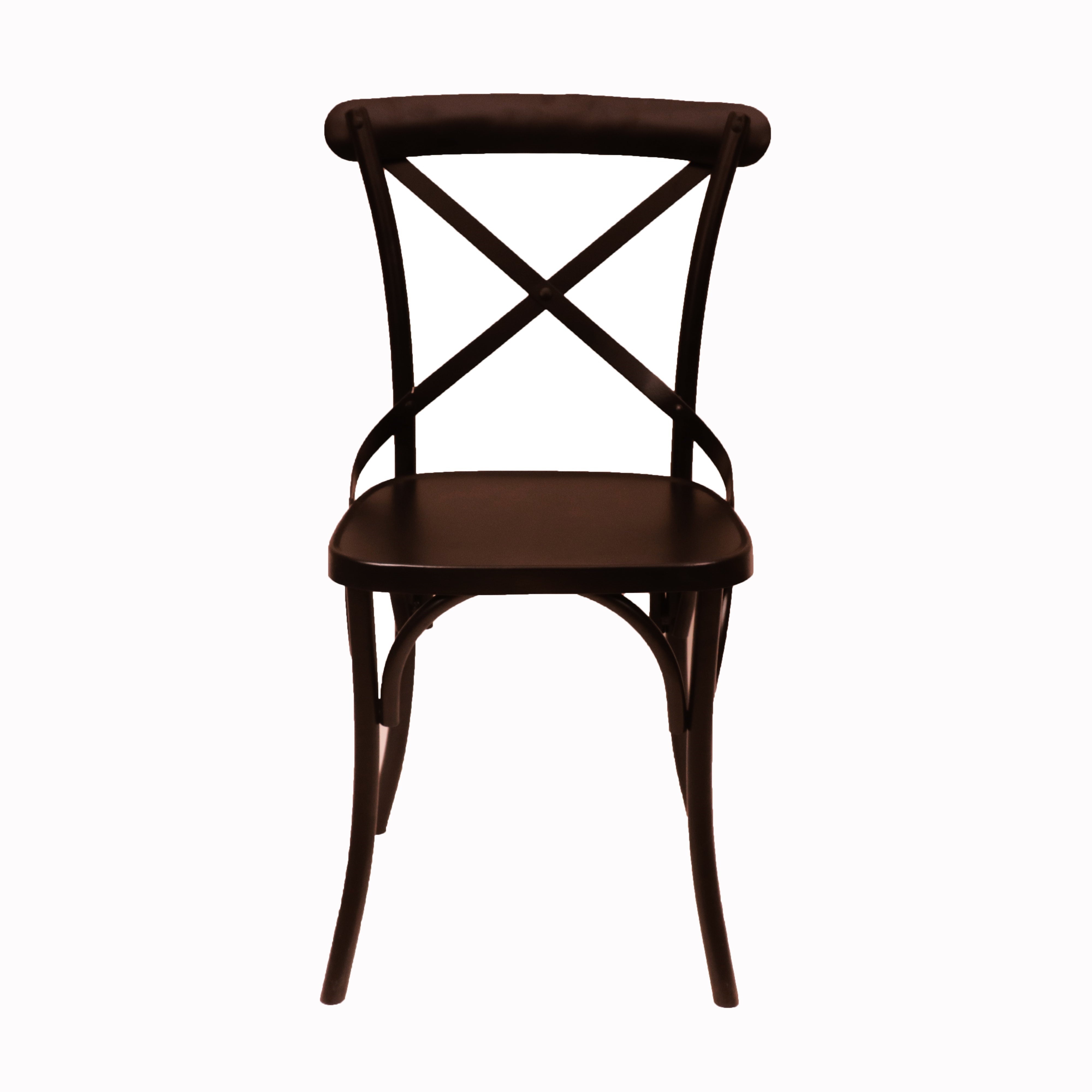 (Set of 2) Black Metal Exotic Hue Chair Dining Chair
