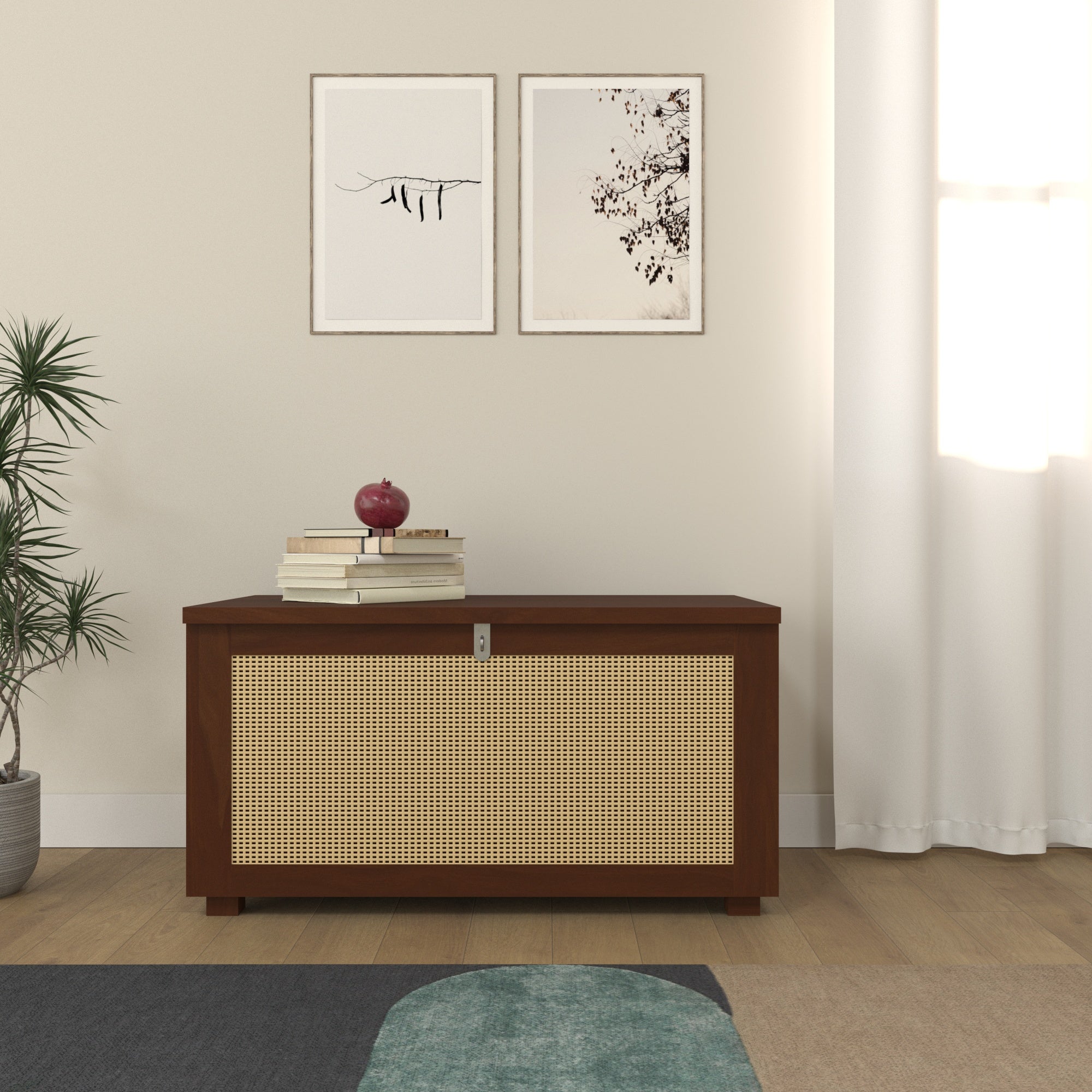Handcrafted Wooden Storage Cabinet with Cane Webbing Front Panel Bench