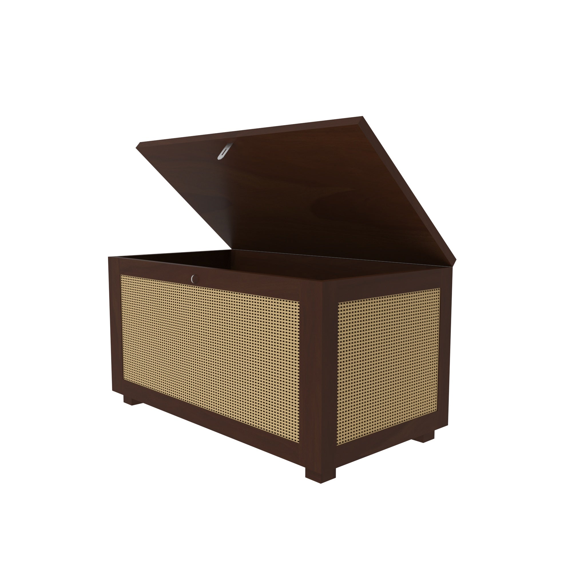 Handcrafted Wooden Storage Cabinet with Cane Webbing Front Panel Bench