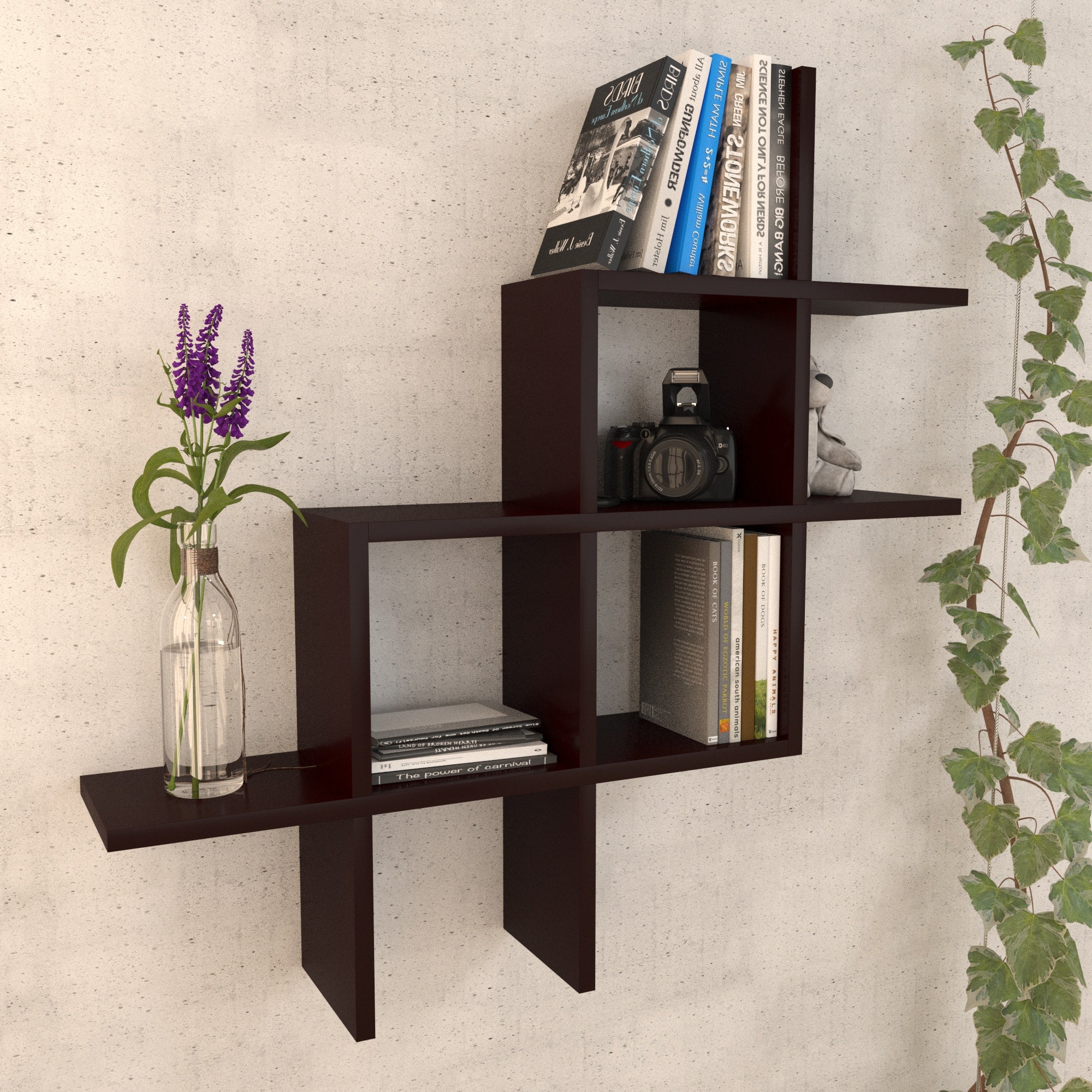 Asymmetric Wall Shelf - Contemporary Floating Display Unit Wall Rack